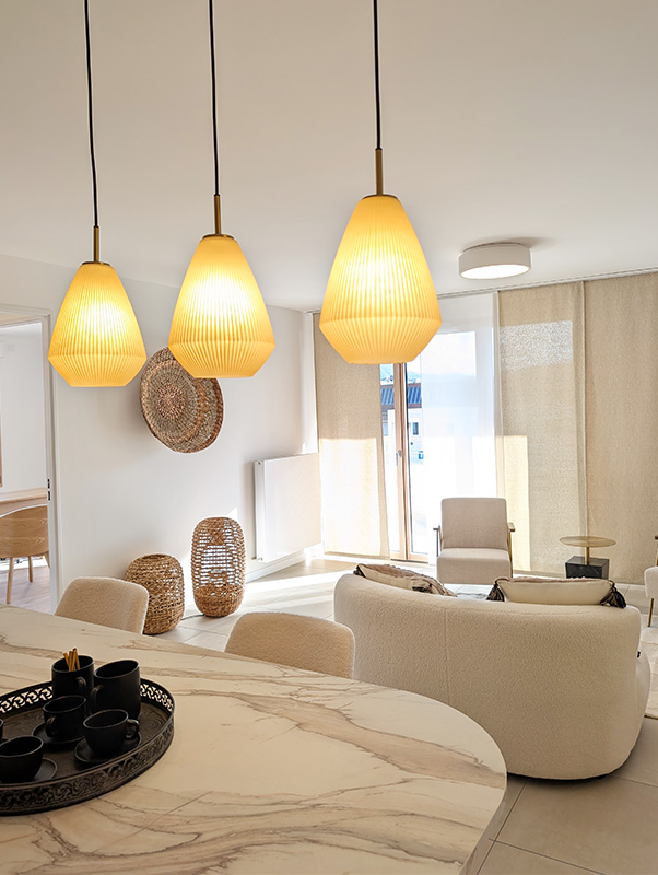 Agencement appartement témoin salon